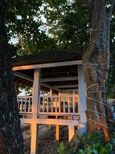 Damar Tree Resort