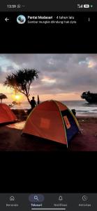 Sewa tenda dome borneo 4