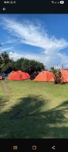 Sewa tenda dome borneo 4