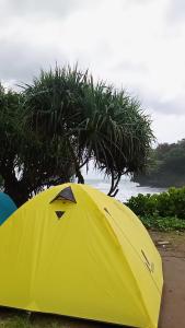 Sewa tenda dome borneo 4