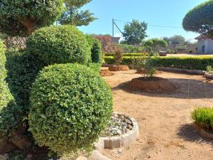 Skylar Apartments Mahalapye