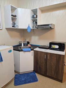 Homey Studio 2 at Avida Towers Atria by Tinir Ilonggo