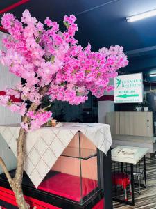 Yen Minh Hotel