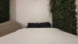 Les Voûtes Mâconnaises Jacuzzi - CinéRoom - Balnéo - Pétanque
