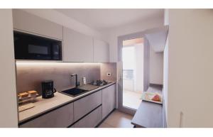 Modern flat with panoramic view