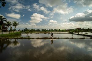 Kubu Sari