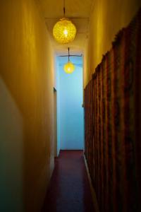 Secret Surf Hostel