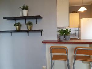 Studio Mewa 21 & PARKING