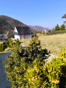 Cisza i Spokój Pieniny