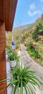 Hangma Homestay