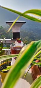 Hangma Homestay