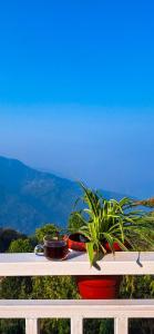 Hangma Homestay