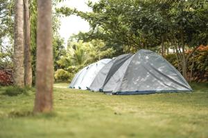 The Nest Bettathur, Coorg