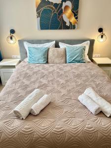 Central Loft Mimozelor