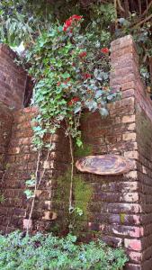 Miraya by ARK, A Mountain Cottage & Artists Abode