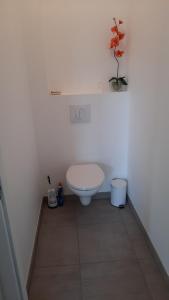 Maison vendéenne très confortable en bord de mer