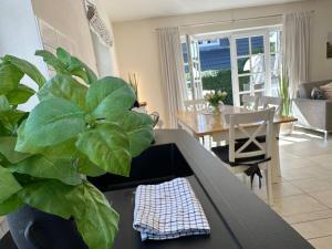 Neu-Friesenhaus-Inselherz-EG-Wohnung