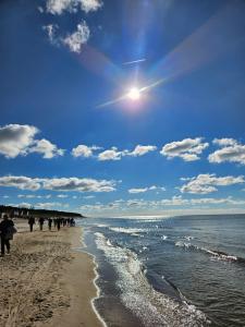 Palangos apartamentai