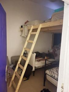 Hostel international