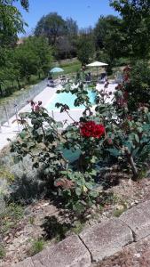 Il Rifugio dellApe Agriturismo