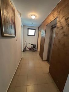 Amadeus1 - 37B Large Apartment