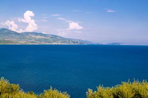 LOlivo - Casa Vacanze Villa Clelia