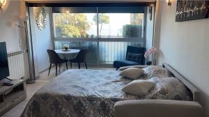 Superbe studio 3 couchages vue mer, parking clim