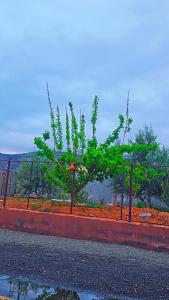جبل شمس Jabal Shams sunset House