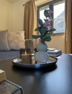 Casita3922, Tor zu Zermatt, Saas-Fee und Visp, Work and Chill Apartement - Nähe Lonza, Free Parking