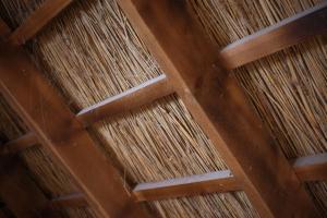 Traditional Ukrainian Thatch House with Modern Luxury