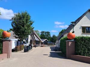 Lodge 65 I 6 persoons chalet op Resort de Betuwe