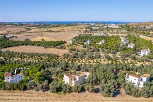 Villa Oliva by Villa Plus