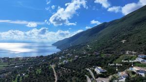 Ponti Mare