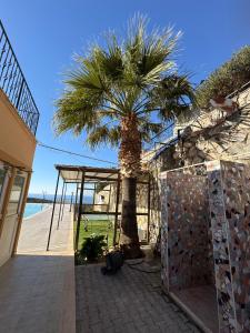2 bedrooms apartment in Arapkoy 4 minutes to Acapulco casino