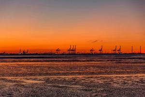 Ferienhaus Kuckuck am Meer