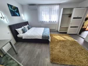 Central Residence Targu Mures