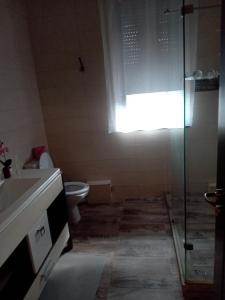 Vila Castelul Grecilor Visan