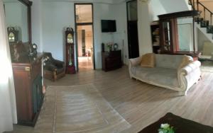 Vila Castelul Grecilor Visan