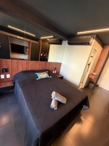 Modern studio in Butanta