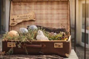 Pension Zur Alten Post
