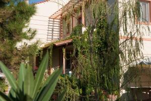 Zorbas Apartments Chios-Island Greece