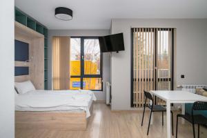 Compact Comfort Studio