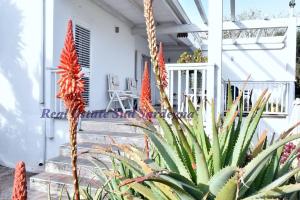 Villa Virginia - Casa Virginia img4