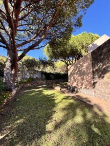 Villino Artù - Villino Artu' img17