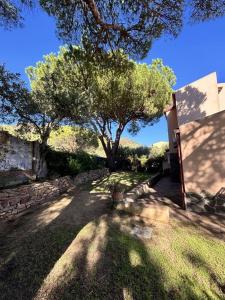 Villino Artù - Villino Artu' img18