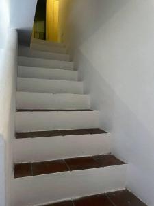 Villino Artù - Villino Artu' img39