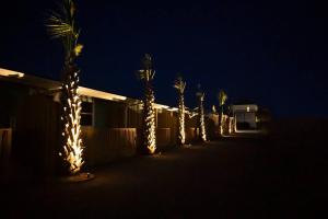 Key West 7- Beach Access - Dog Friendly - Bikes Grill