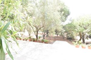 Casa Vacanze Il Bouganville img6