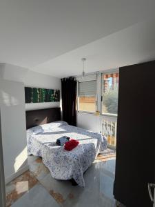 Second-line Beach Apartment - Tucan de Sal