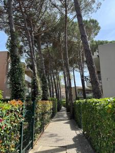 ILLYRIAN Apartment